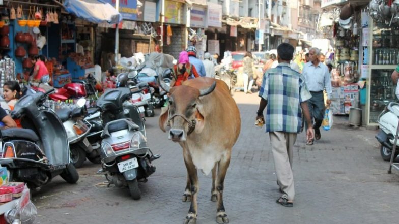 Lockdown: मुंबईकरांनो Mumbai RED ZONE मध्ये आहे, परवानगीशिवाय प्रवास टाळा, अन्यथा कारवाईला सामोरे जा- मुंबई पोलीस