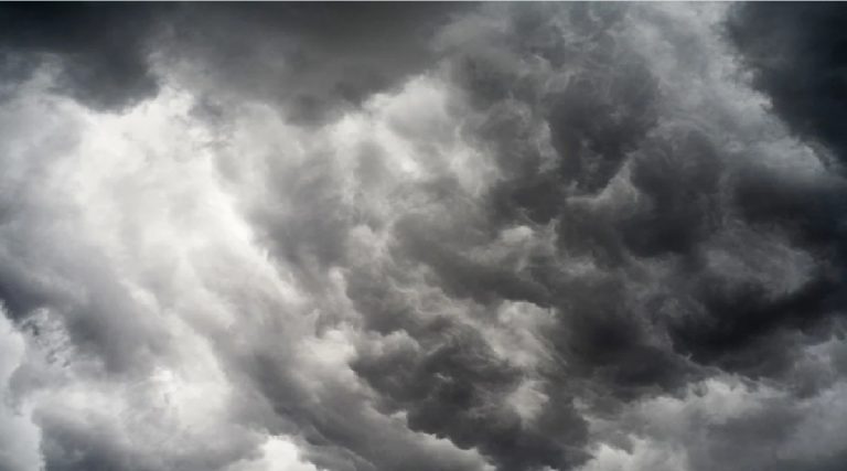 Maharashtra Rain Update: सिंधुदुर्ग जिल्ह्याला पावसाचा जोरदार तडाखा, आकडेवारी ट्विट करत दिली माहिती