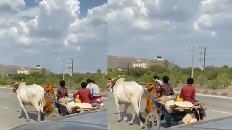 Lockdown: घरी परत जाण्यासाठी कामगारांची वणवण; महिलेने स्वतःला बैलगाडीला जुंपून पार केला रस्ता, पहा विदारक व्हिडिओ