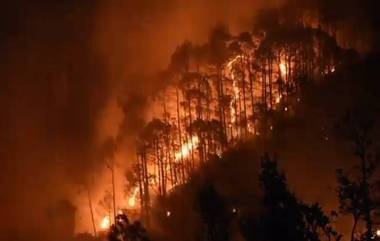 Forest Fire in Uttarakhand: उत्तराखंडमधील जंगलात लागलेल्या आगीमुळे 71 हेक्टर जमीन उध्वस्त; अनेक वन्यजीव प्रजाती धोक्यात