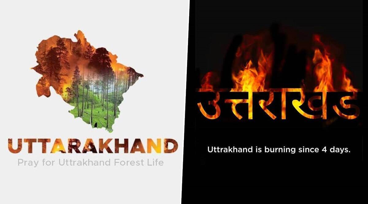 Uttarakhand Forest Fires: देवभूमी उत्तराखंड मध्ये 4 दिवसांपासून जंगलांमध्ये भीषण आग;  #SaveTheHimalyas म्हणत ट्वीटरवर युजर्सच्या प्रार्थना अन मदतीचं आवाहन