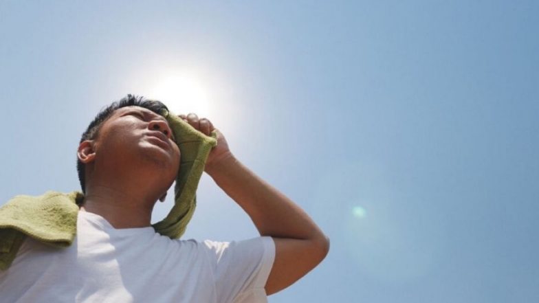 Summer Tips: उन्हाळ्यात Heat Stroke पासून बचाव करण्यासाठी 'या' गोष्टी खाणे ठरेल आरोग्यासाठी फायदेशीर