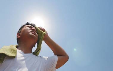 Summer Tips: उन्हाळ्यात Heat Stroke पासून बचाव करण्यासाठी 'या' गोष्टी खाणे ठरेल आरोग्यासाठी फायदेशीर