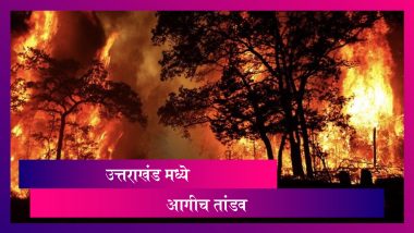 Uttarakhand Fire: उत्तराखंड मध्ये आगीच तांडव, दिवसेंदिवस आग वाढत जात असल्याची चिन्ह