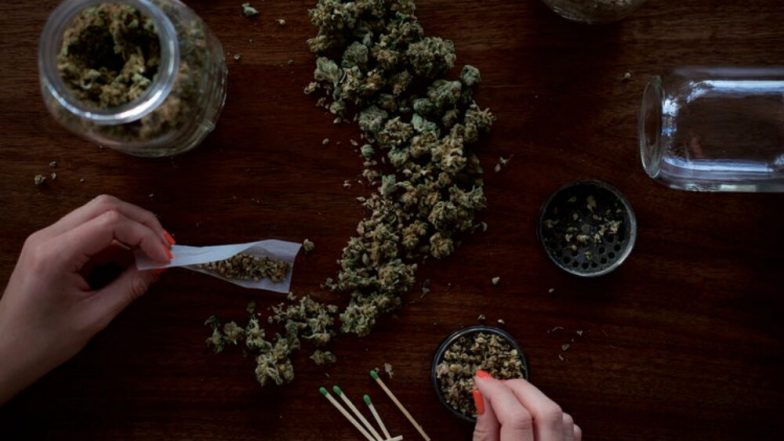 Cannabis & Coronavirus: कोरोना व्हायरस रोखण्यासाठी गांजाचा उपयोग केला जाऊ शकतो: अभ्यासातून खुलासा