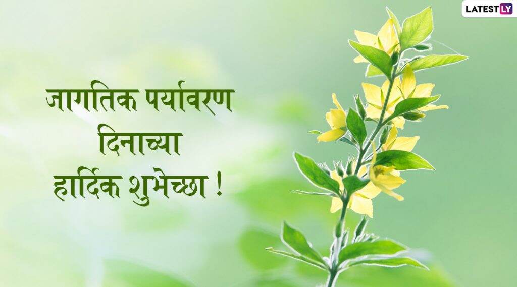 Happy World Environment Day 2020 Wishes: जागतिक पर्यावरण दिनाच्या मराठमोळ्या शुभेच्छा Greetings, Images, Messages, WhatsApp Status, Facebook च्या माध्यमातून द्या निसर्गाच्या संवर्धनासाठी लोकांमध्ये करा जनजागृती! Happy World Environment Day 2020 Wishes: जागतिक पर्यावरण दिनाच्या मराठमोळ्या शुभेच्छा Greetings, Images, Messages, WhatsApp Status, Facebook च्या माध्यमातून द्या निसर्गाच्या संवर्धनासाठी लोकांमध्ये करा जनजागृती!