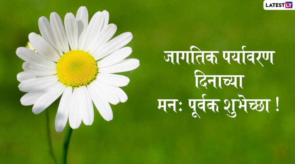 World Environment Day 2020: पर्यावरण दिनानिमित्त सुप्रिया सुळे, राजेश टोपे, अनिल देशमुख यांच्यासह राजकीय मान्यवरांनी दिल्या शुभेच्छा! World Environment Day 2020: पर्यावरण दिनानिमित्त सुप्रिया सुळे, राजेश टोपे, अनिल देशमुख यांच्यासह राजकीय मान्यवरांनी दिल्या शुभेच्छा!