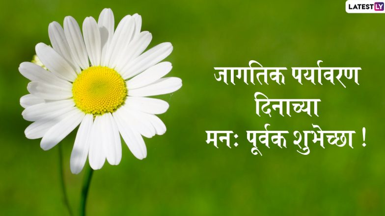 World Environment Day 2020: पर्यावरण दिनानिमित्त सुप्रिया सुळे, राजेश टोपे, अनिल देशमुख यांच्यासह राजकीय मान्यवरांनी दिल्या शुभेच्छा!