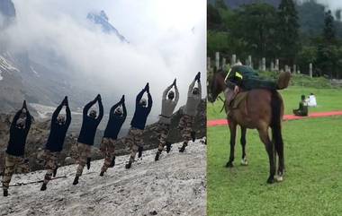 International Yoga Day 2020:ITBP ते भारतीय लष्कर दलातील जवानांनी 'असा' साजरा केला यंदाचा जागतिक योग दिवस!