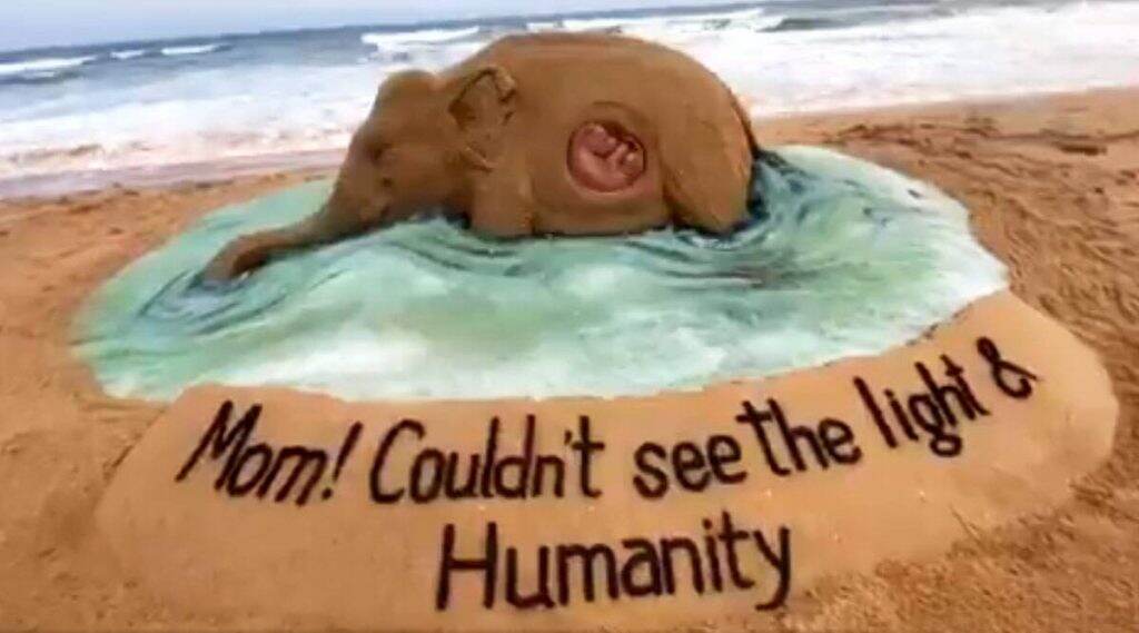 Pregnant Elephant Dies in Kerala: वाळू शिल्पकार सुदर्शन पटनायक यांनी भावूक मेसेज सह साकारलं सॅन्ड आर्ट! Pregnant Elephant Dies in Kerala: वाळू शिल्पकार सुदर्शन पटनायक यांनी भावूक मेसेज सह साकारलं सॅन्ड आर्ट!