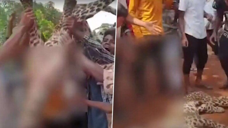 Animal Cruelty: आसाम मध्ये चित्त्याला मारहाण करून निर्घृण हत्या; निर्दयी लोकांनी त्याच्या शवासोबत काढली परेड (Watch Video)