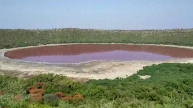 काय सांगता? लोणार सरोवराच्या पाण्याचा रंग बदलून झाले लाल; नमुना गोळा करून कारण शोधण्याच्या प्रयत्नात वनविभाग (See Photo)