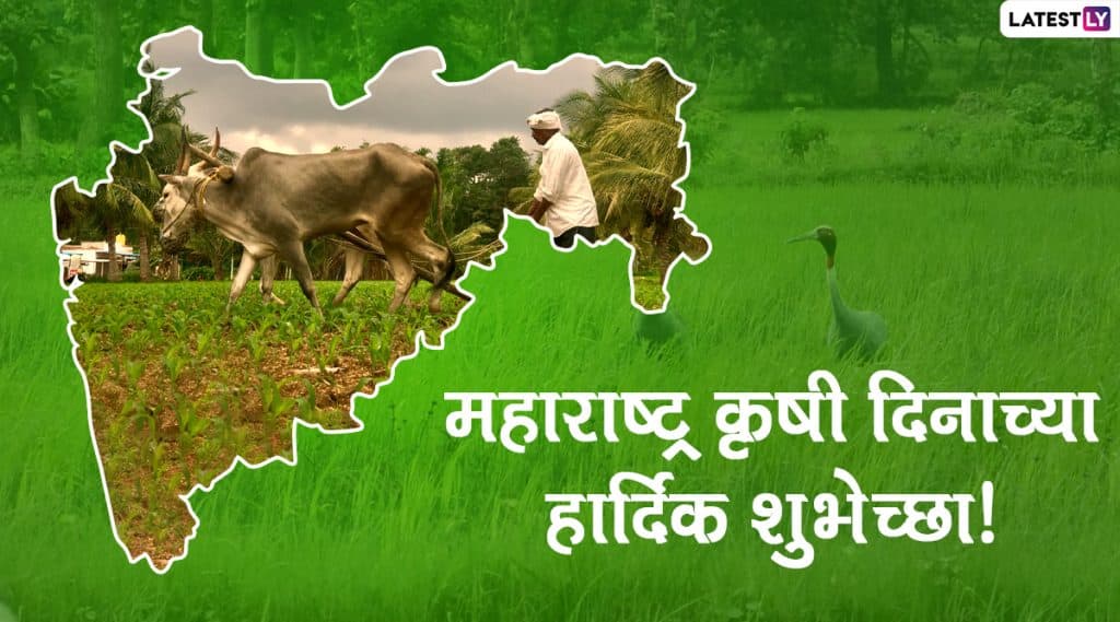 Maharashtra Krishi Din 2020 Message: महाराष्ट्र कृषी दिनाच्या मराठमोळ्या Wishes, Images, Whatsapp Status च्या माध्यमातून बळीराजाला द्या शुभेच्छा! Maharashtra Krishi Din 2020 Message: महाराष्ट्र कृषी दिनाच्या मराठमोळ्या Wishes, Images, Whatsapp Status च्या माध्यमातून बळीराजाला द्या शुभेच्छा!