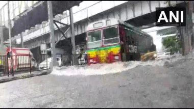 Mumbai Rains: मुंबई सह उपनगरांमध्ये पावसाची दमदार हजेरी; सायन परिसरातील सखल भागात पाणी साचले (See Pics)