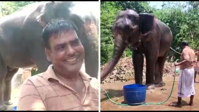 कौतुकास्पद! बिहार येथील प्राणीप्रेमी अख्तर इमाम यांनी आपल्या दोन हत्तीच्या नावे केली संपूर्ण संपत्ती, वाचा सविस्तर