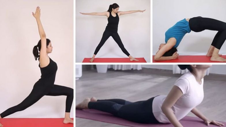 International Day of Yoga 2020: वृक्षासन ते भुजंगासन सर्वांना शक्य होतील अशी 'ही' योगासने करून कुटुंबासोबत साजरा करा आंतरराष्ट्रीय योग दिवस (Watch Video)