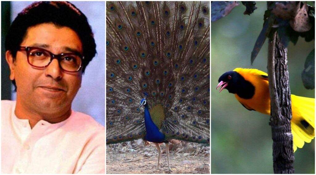 MNS अध्यक्ष राज ठाकरे म्हणतात Lockdown ने शिकवलेलं कळलं तरी World Environment Day चं सार्थक झालं MNS अध्यक्ष राज ठाकरे म्हणतात Lockdown ने शिकवलेलं कळलं तरी World Environment Day चं सार्थक झालं
