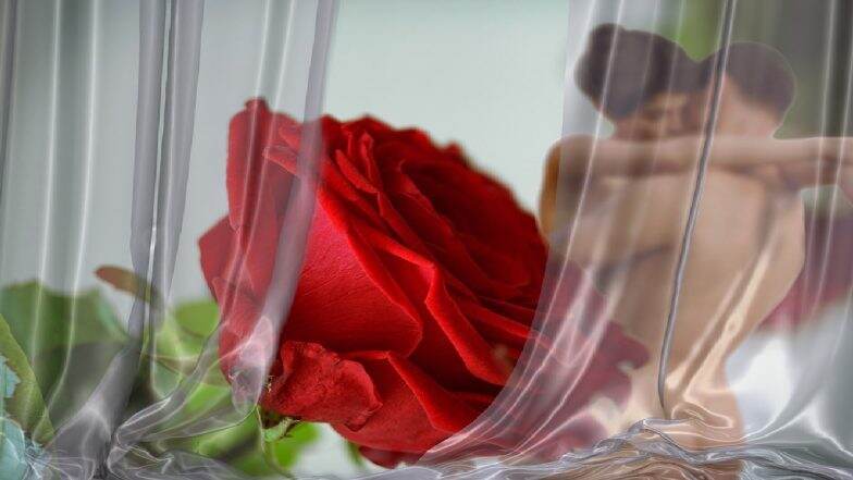 Sex Tips for Valentine’s Day 2021: व्हॅलेंटाईन डे ला आपल्या जोडीदारासोबत सेक्सचा अनुभव अविस्मरणीय करण्यासाठी खास टिप्स