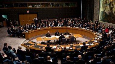 UNSC Elections 2020: संयुक्त राष्ट्र सुरक्षा परिषदेमध्ये भारताची 2021-22 साठी तात्पुरत्या सदस्यपदी निवड