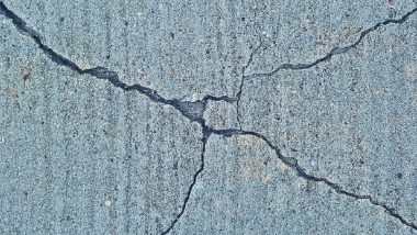 Solapur Earthquake Update: सोलापूरमध्ये जाणवला 4.9 रिश्टर स्केलचा भूकंपाचा धक्का, कोणतीही वित्तहानी नाही