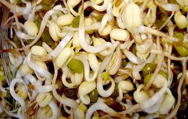 Health Benefits Of Sprouts: रोज सकाळी मोड आलेले कडधान्य खाल्ल्याने होतील 'हे' आरोग्यदायी फायदे; जाणून घ्या