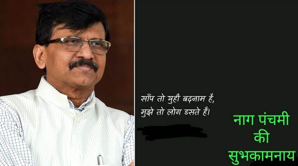 शिवसेना खासदार संजय राऊतांनी हटके ट्विट च्या माध्यमातून दिल्या नागपंचमीच्या शुभेच्छा शिवसेना खासदार संजय राऊतांनी हटके ट्विट च्या माध्यमातून दिल्या नागपंचमीच्या शुभेच्छा