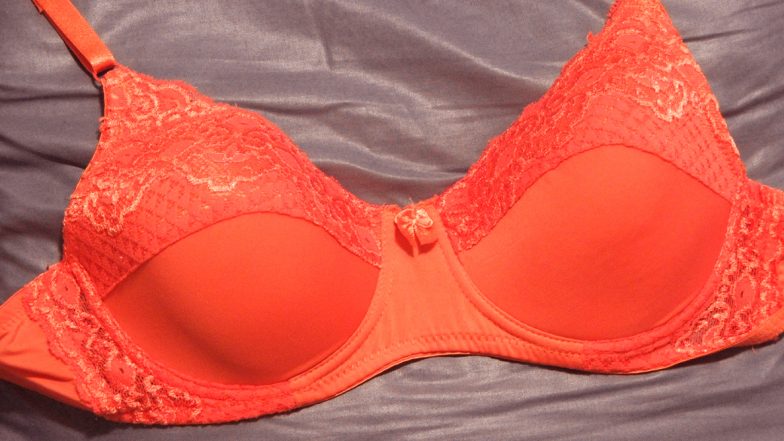 Bra Care Tips: कप ब्रा धुण्याची 'ही' योग्य पद्धत तुम्हाला माहित आहे का?