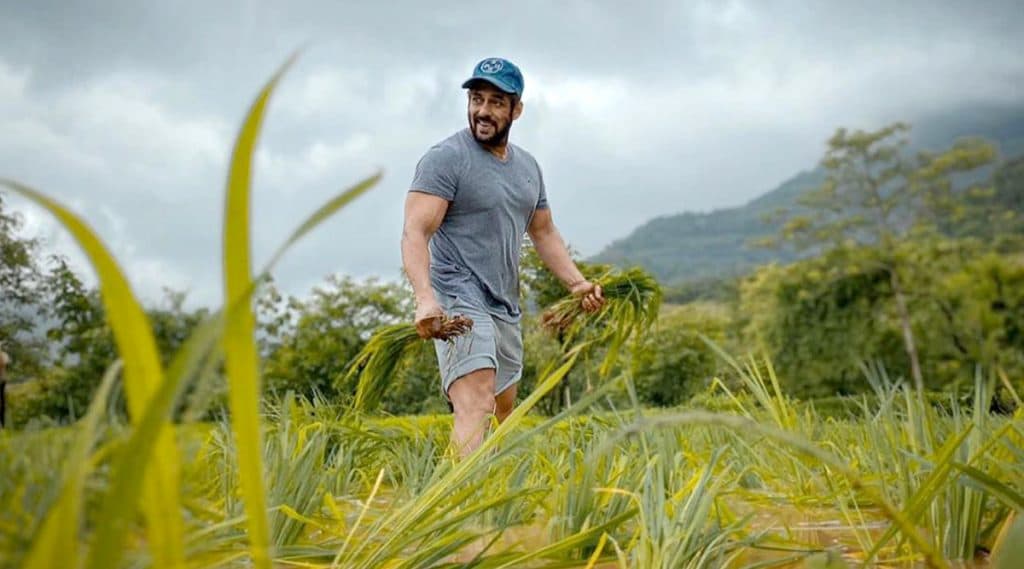सलमान खान ने शेअर केला शेतात काम करतानाचा फोटो म्हणाला, 'दाने दाने पे लिखा होता हैं, खाने वाले का नाम' सलमान खान ने शेअर केला शेतात काम करतानाचा फोटो म्हणाला, 'दाने दाने पे लिखा होता हैं, खाने वाले का नाम'