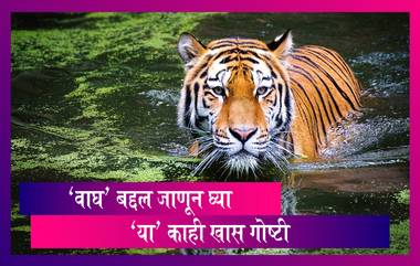 International Tiger Day 2020: जागतिक व्याघ्र दिन निमित्त जाणून घ्या 'वाघ' बद्दल काही खास गोष्टी