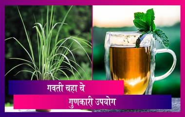 Monsoon Health Tips: पावसाळ्यात गवती चहा प्यायल्याने 'या' आजारांपासून दूर राहण्यास होईल मदत