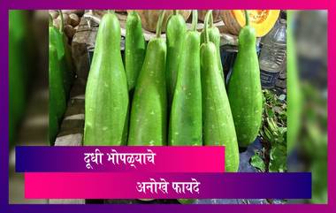 Bottle Gourd Health Benefit : दूधी भोपळ्याचे 'हे' फायदे ऐकून तुम्हाला ही आश्चर्य वाटेल