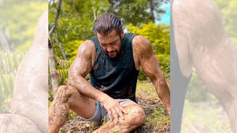 अभिनेता सलमान खान चा शेतकर्‍यांना सलाम; शेअर केला खास फोटो (See Post)