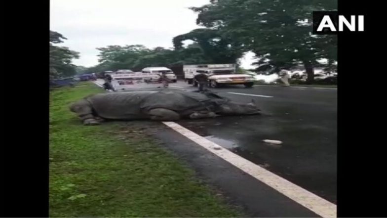 Assam Floods: असम मधील काजीरंगा नॅशनल पार्क, बोकाहाट टायगर रिझर्व्हच्या काही भागात पुर परिस्थिती निर्माण झाल्याने 68 जनावरांचा बळी