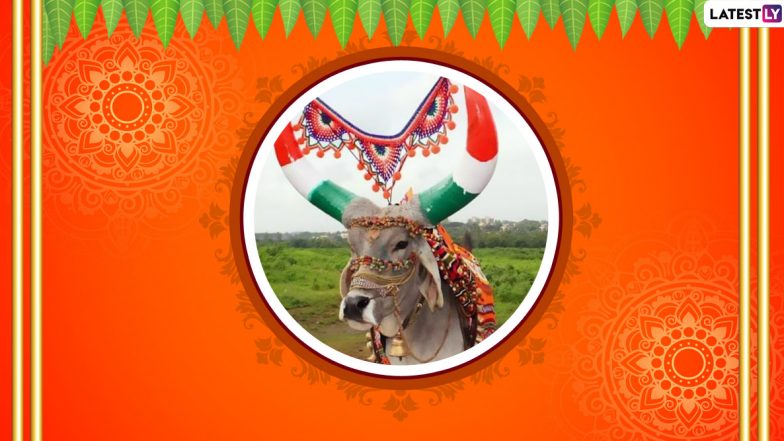 Maharashtra Bendur : काय आहे बेंदूर सण?  जाणून घ्या महाराष्ट्रातील या अनोख्या सणाचं महत्व आणि वैशिष्ट