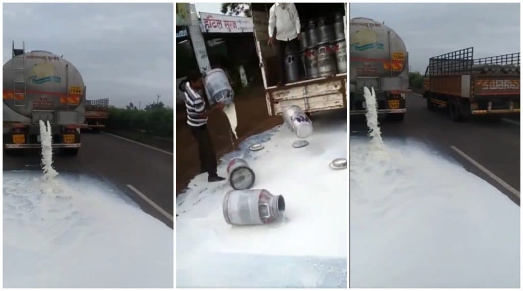 Milk Price Agitation: दूध दर आंदोलन भडकले; सांगली, कोल्हापूरमध्ये टँकर फोडले, बैलांना दुग्धाभिषेक; मंत्रिमंडळ बैठकीकडे सर्वांचे लक्ष Milk Price Agitation: दूध दर आंदोलन भडकले; सांगली, कोल्हापूरमध्ये टँकर फोडले, बैलांना दुग्धाभिषेक; मंत्रिमंडळ बैठकीकडे सर्वांचे लक्ष