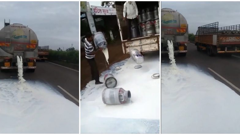Milk Price Agitation: दूध दर आंदोलन भडकले; सांगली, कोल्हापूरमध्ये टँकर फोडले, बैलांना दुग्धाभिषेक; मंत्रिमंडळ बैठकीकडे सर्वांचे लक्ष