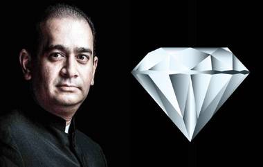 Nirav Modi Assets Confiscated: नीरव मोदी याची 326.99 कोटी रुपयांची संपत्ती जप्त; मुंबई, अलीबागसह जैसलमेर येथील पवन चक्की, लंडन येथील फ्लॅटचाही समावेश