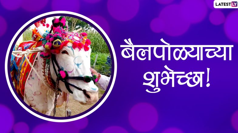 Bail Pola 2020 HD Images: बैल पोळा सणाच्या निमित्ताने खास Messages, Whatsapp Status, Wallpapers, Wishes च्या माध्यमातून द्या शेतकरी बांधवांना शुभेच्छा