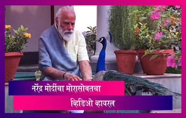 PM Narendra Modi निसर्गाच्या सनिध्यात;  मोरासोबत व्हिडिओ सोशल मीडिया वर व्हायरल, Watch Video