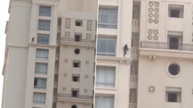 Viral Video of Girl Walking On Building Wall: उंच इमारतीच्या वरच्या मजल्याच्या कडेवरुन चालणाऱ्या मुलीचा व्हिडिओ व्हायरल