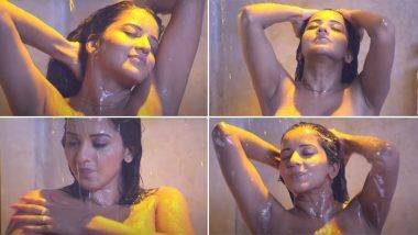 Monalisa Hot Bhojpuri Video: बाथरुममध्ये अंघोळ करत असलेल्या मोनालिसा हिचा भोजपुरी चित्रपटातील हॉट सीन Viral, एकट्यातच पहा  बोल्ड व्हिडिओ