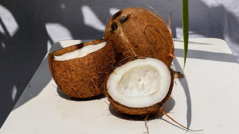 Benefits of Coconut: रोज ओलं खोबरं खाल्ल्याने रोगप्रतिकार शक्ती वाढविण्यासोबत शरीरास होतात 'हे' आरोग्यदायी फायदे