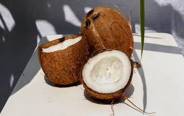 Benefits of Coconut: रोज ओलं खोबरं खाल्ल्याने रोगप्रतिकार शक्ती वाढविण्यासोबत शरीरास होतात 'हे' आरोग्यदायी फायदे