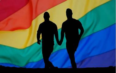 Gay Couple Live-In Relationship: समलैंगिक जोडप्यांना लिव्ह-इन रिलेशनशिप मध्ये राहण्यास न्यायालयाची परवानगी; Orissa High Court चा मोठा निर्णय 