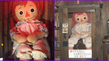 Is Annabelle Doll Real? एनाबेल डॉल खरी आहे का? जाणून घ्या 'कॉन्ज्यूरिंग' फेम झपाटलेल्या बाहुलीची खरी कथा