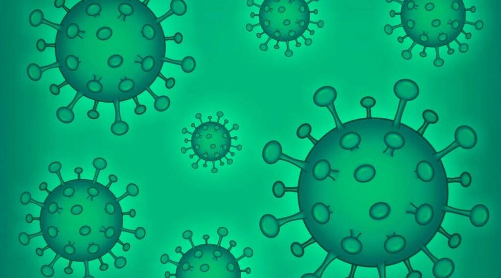 Coronavirus Updates in India: कोरोना बाधितांमध्ये 54% रुग्ण 18-44 वयोगटातील; कोविड-19 मुळे मृत्यू झालेल्यांपैकी 51% रुग्ण 60 वर्षांवरील- आरोग्य मंत्रालय Coronavirus Updates in India: कोरोना बाधितांमध्ये 54% रुग्ण 18-44 वयोगटातील; कोविड-19 मुळे मृत्यू झालेल्यांपैकी 51% रुग्ण 60 वर्षांवरील- आरोग्य मंत्रालय