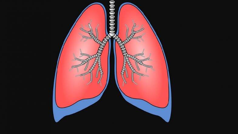Double Lung Transplant for Covid-19 Patient: हैदराबाद मध्ये कोरोनाबाधित रूग्णावर दोन्ही फुफ्फुसांच्या प्रत्यारोपण ऑपरेशन; भारतातील पहिलीच शस्रक्रिया