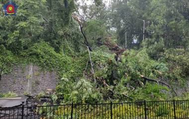 Mumbai Traffic Route Update: मुंबईतील Pedder Road वर भिंत कोसळल्याने मार्ग वाहतुकीसाठी बंद; 'या' पर्यायी मार्गांचा वापर करण्याचे मुंबई पोलिसांचे आवाहन