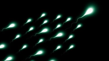 How To Increase Sperm Count: शुक्राणुंची संख्या वाढवण्यासाठी Testicles वर बर्फ लावल्याने होतो का फायदा? जाणुन घ्या