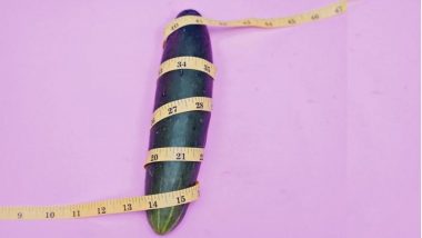 Sex Tips: Penis चा आकार लहान असेल तरी चिंंता नको, 'या' टिप्स फॉलो करुन अनुभवता येईल Extreme Hot सेक्स सेशन